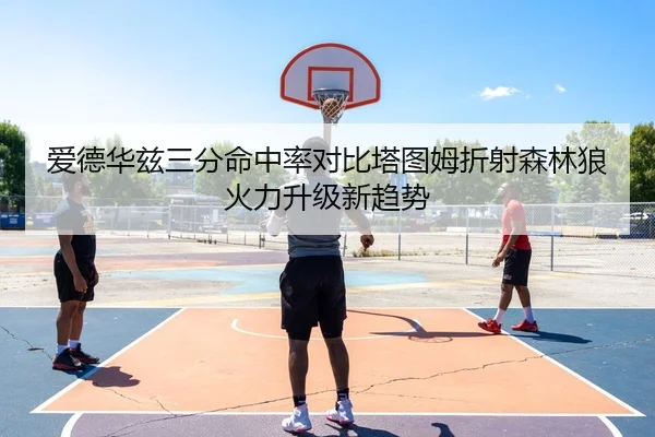 爱德华兹三分命中率对比塔图姆折射森林狼火力升级新趋势